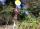 Foto notizia